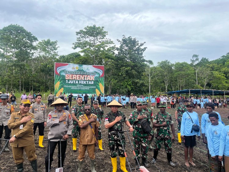 Danyonif 751/VJS terlibat dalam Kegiatan Penanaman Jagung Serentak 1 Juta Hektar di Distrik Kemtuk Jayapura